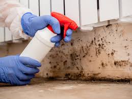 Mold Remediation for Rental Properties in Cross Plains, WI